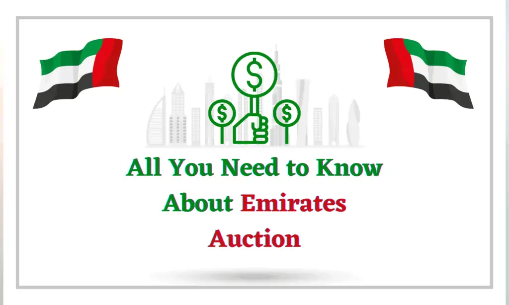 All You Need to Know About Emirates Auction Expats in Dubai